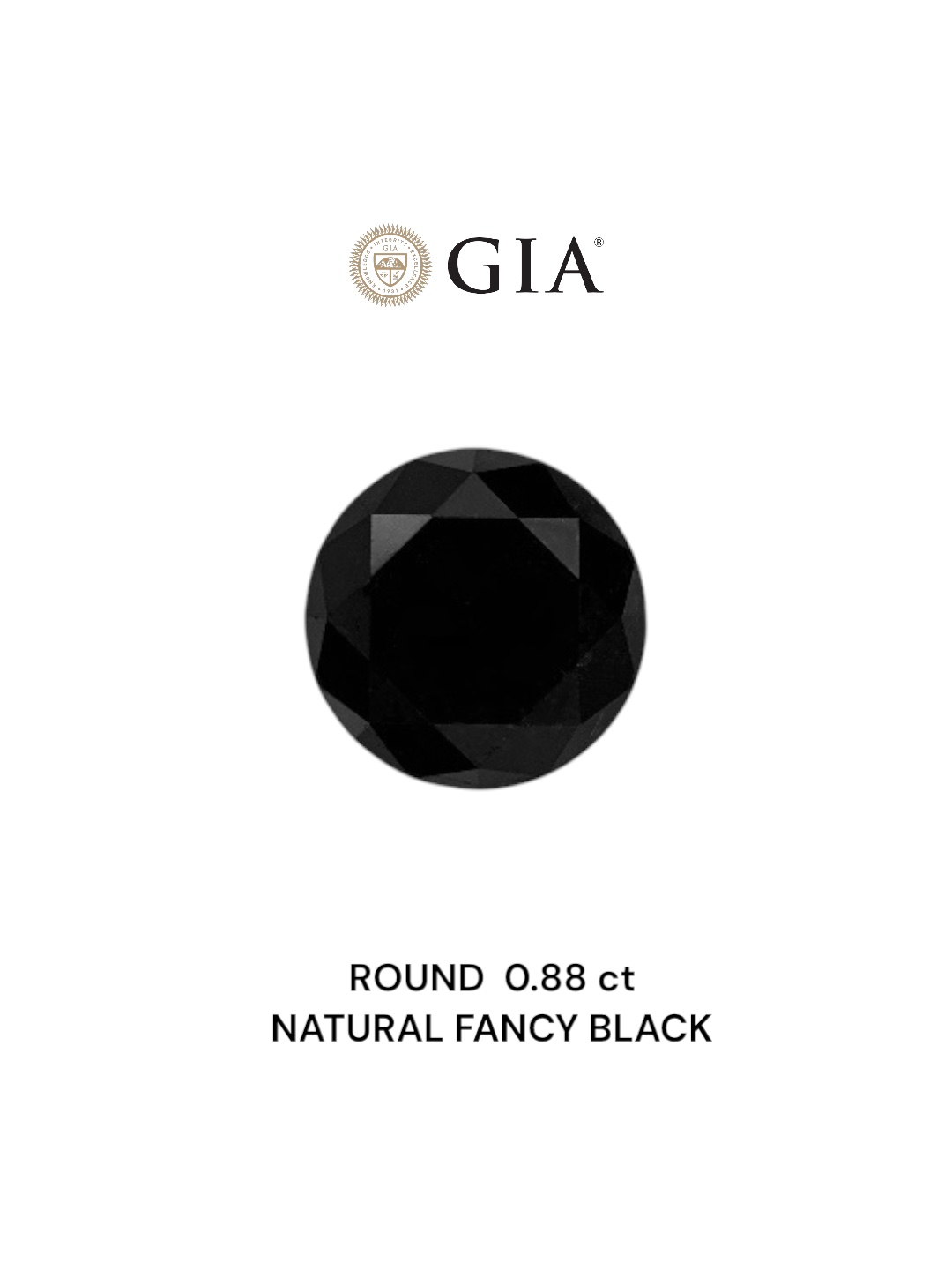 GIA 0.88 Carat Natural Fancy Black Round Diamond SE-7610GN