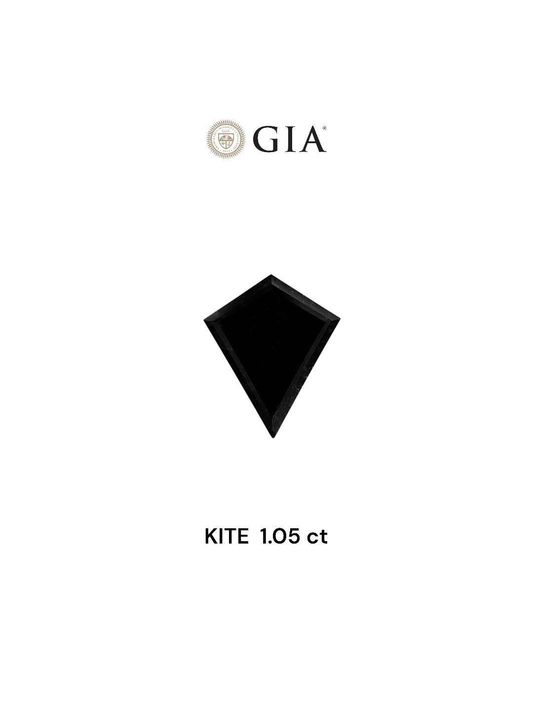 GIA 1.05 Carat Natural Fancy Black Kite Diamond SE-7617GN