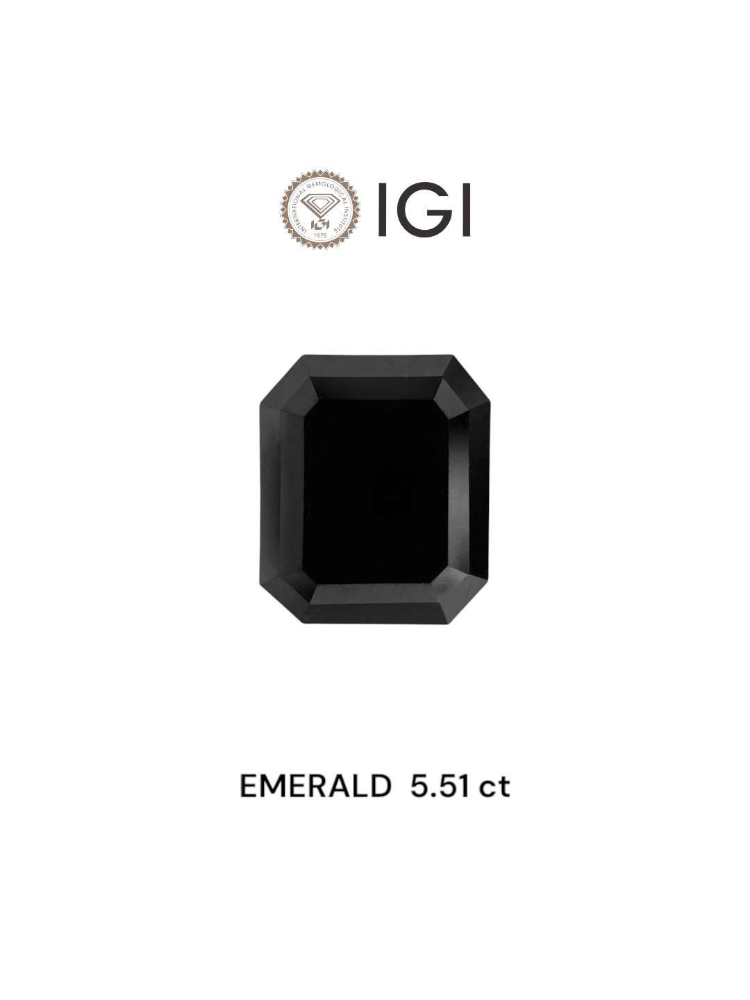 IGI 5.51 Carat Natural Fancy Black Emerald Diamond SE-7621TTI