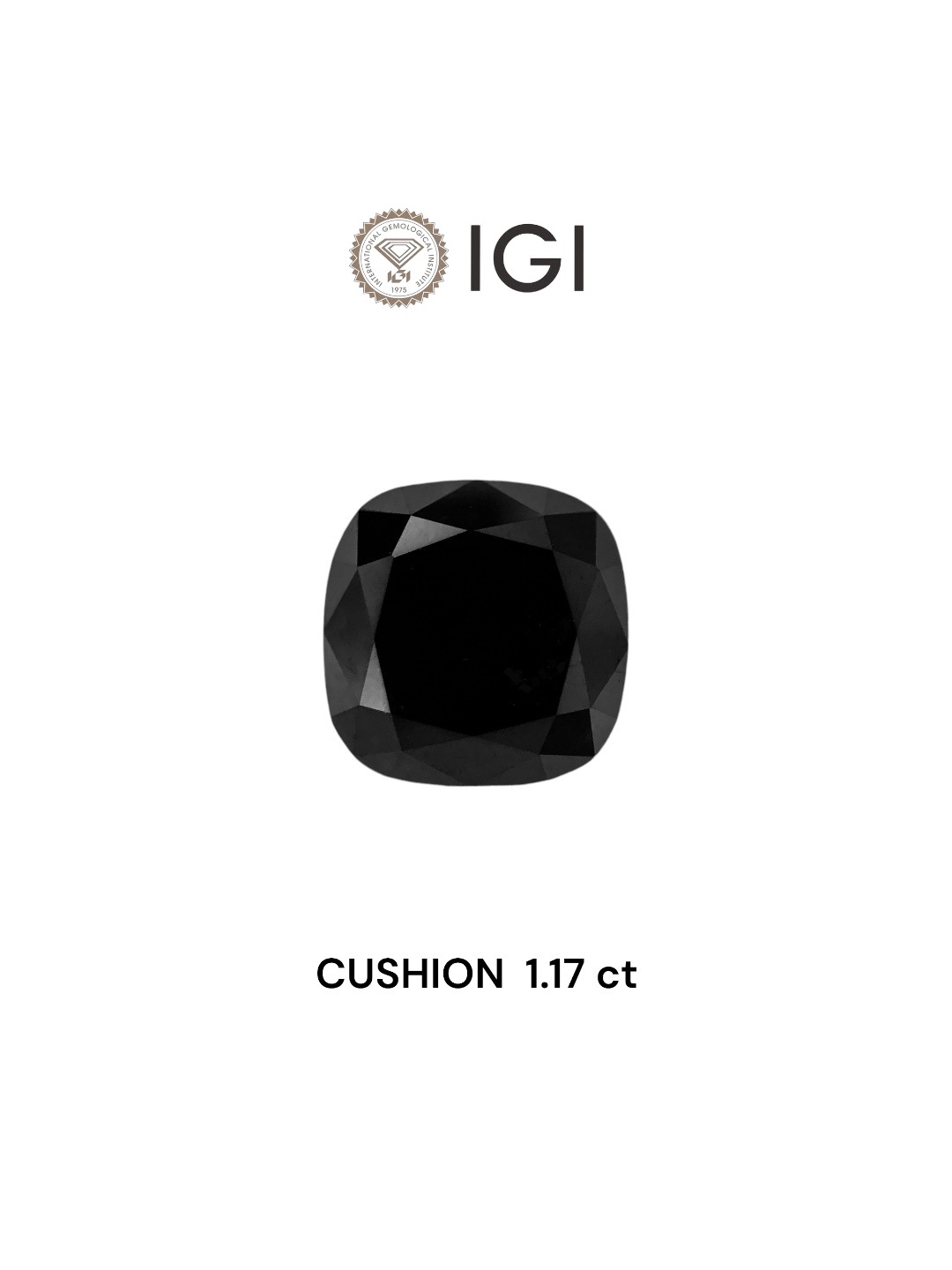 IGI 1.17 Carat Natural Fancy Black Cushion Diamond SE-7674TTI