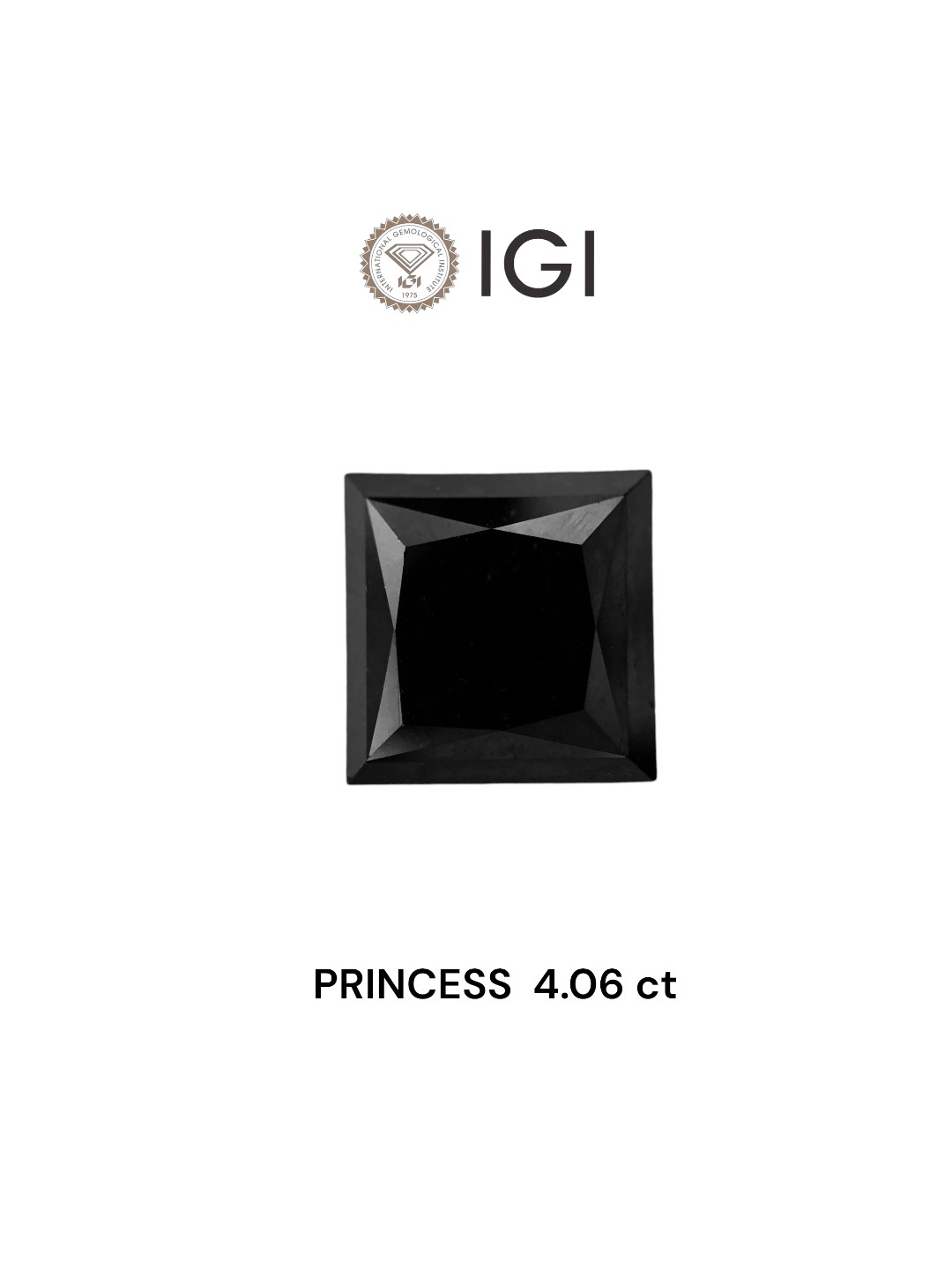 IGI 4.06 Carat Natural Fancy Black Princess Diamond SE-7807TTI