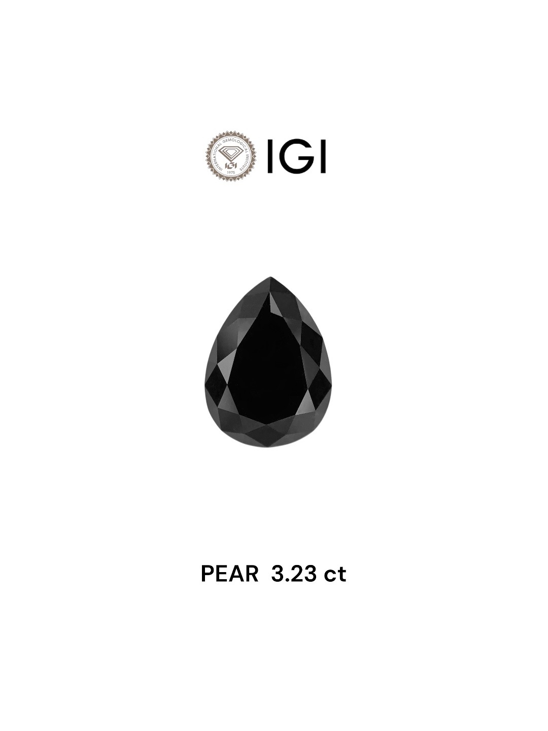 IGI 3.23 Carat Natural Fancy Black Pear Diamond SE-7814IN