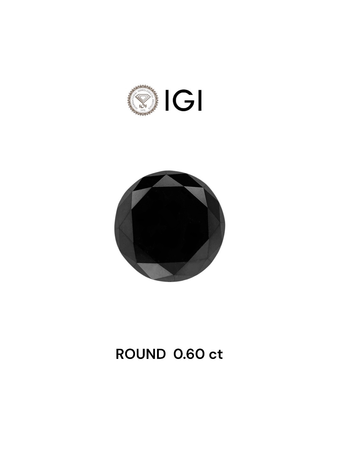 IGI 0.60 Carat Natural Fancy Black Round Diamond SE-7825IN