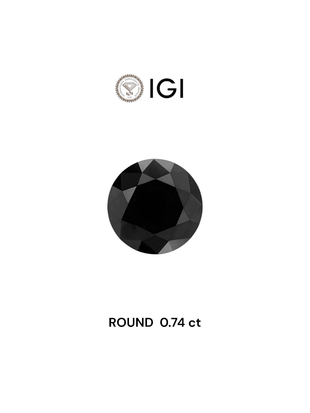 IGI 0.74 Carat Natural Fancy Black Round Diamond SE-7826IN