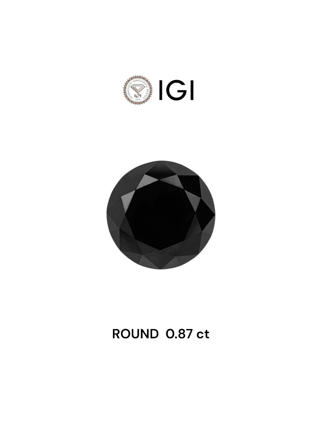 IGI 0.87 Carat Natural Fancy Black Round Diamond SE-7827IN