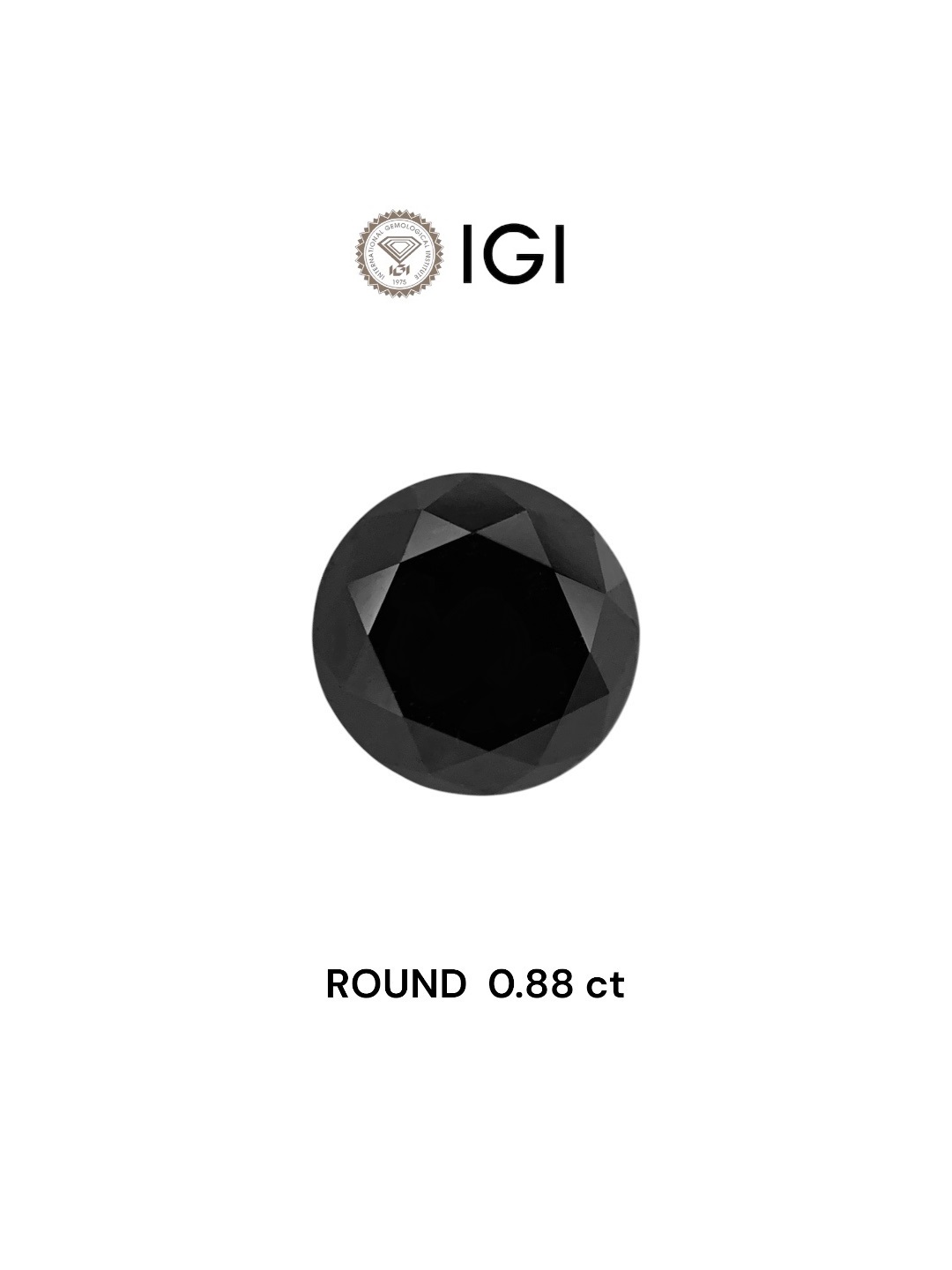 IGI 0.88 Carat Natural Fancy Black Round Diamond SE-7828IN