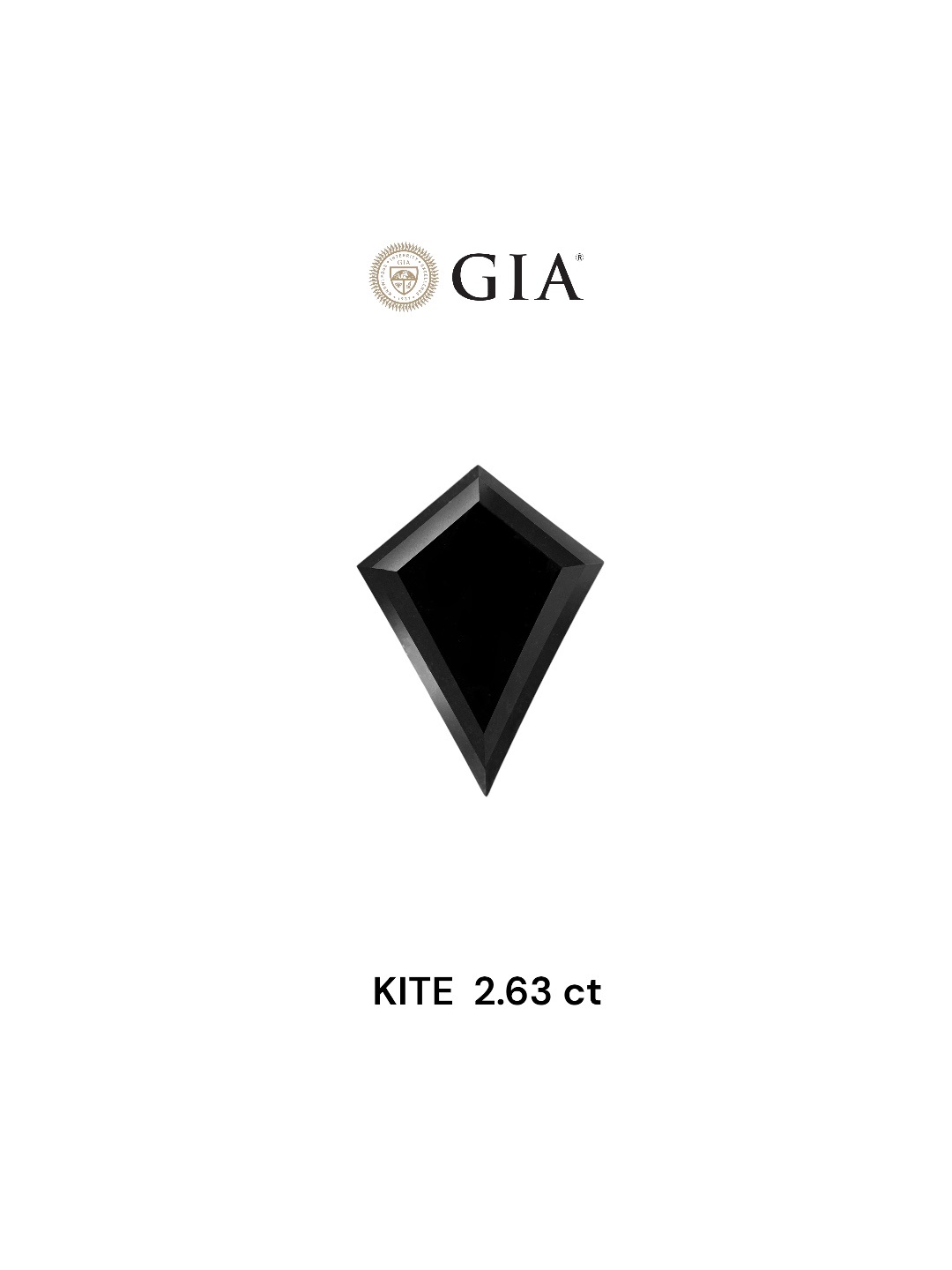 GIA 2.63 Carat Natural Fancy Black Kite Diamond SE-7846GN