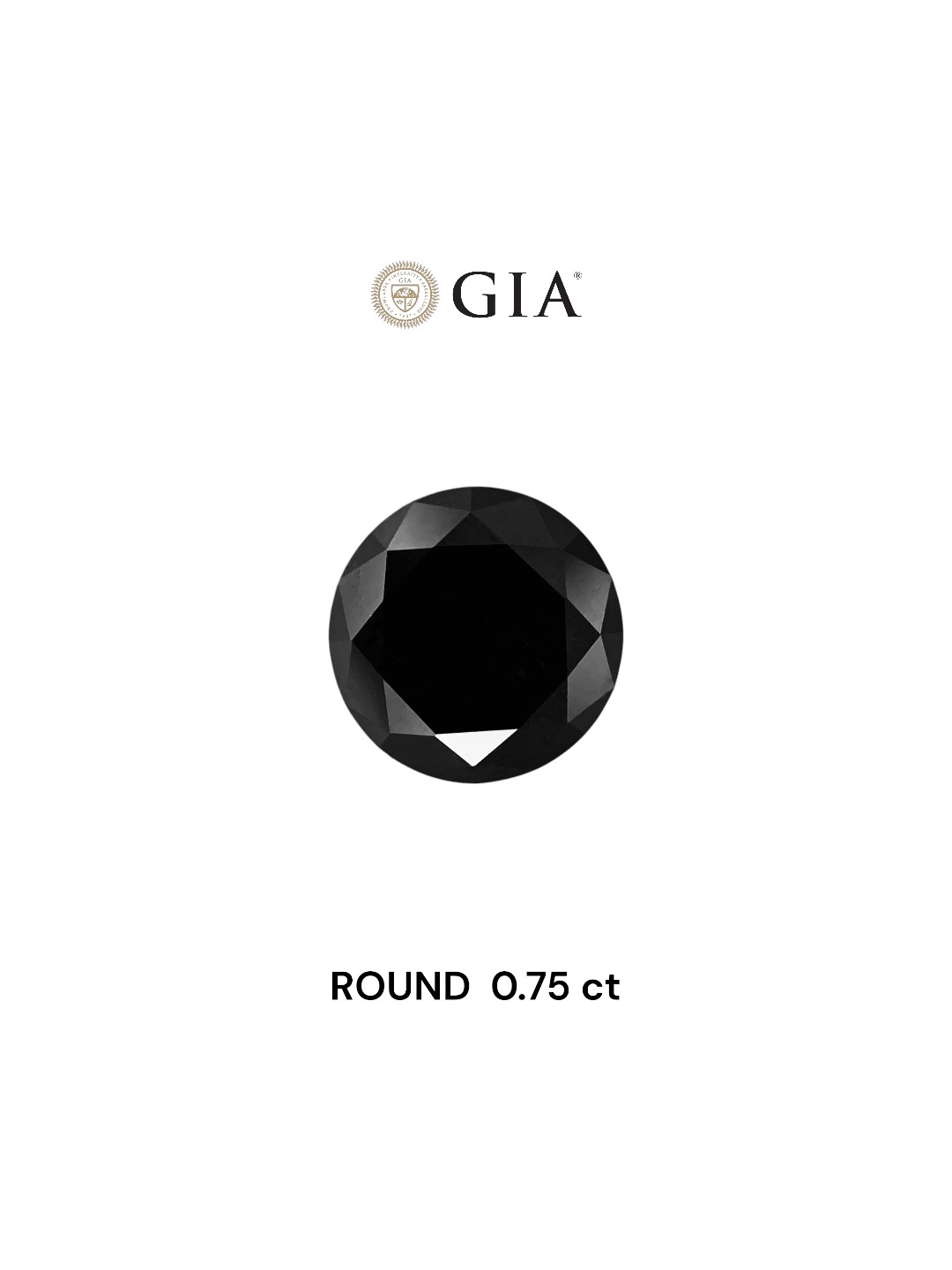 GIA 0.75 Carat Natural Fancy Black Round Diamond SE-7861GN