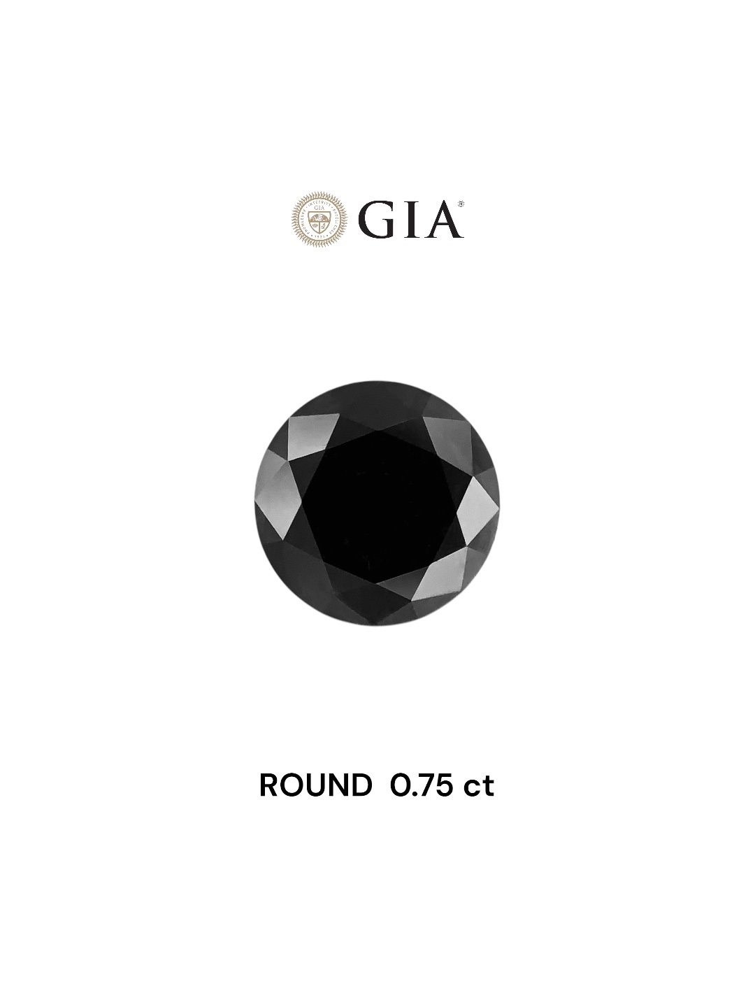 GIA 0.75 Carat Natural Fancy Black Round Diamond SE-7862GN