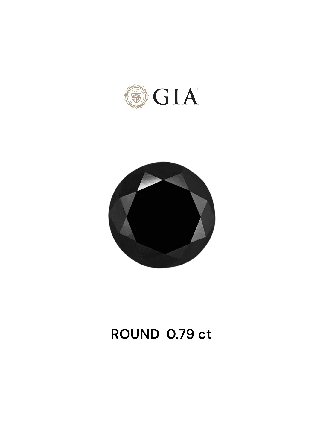 GIA 0.79 Carat Natural Fancy Black Round Diamond SE-7891GN