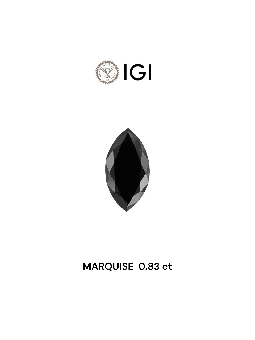 IGI 0.83 Carat Natural Fancy Black Marquise Diamond SE-8202IN