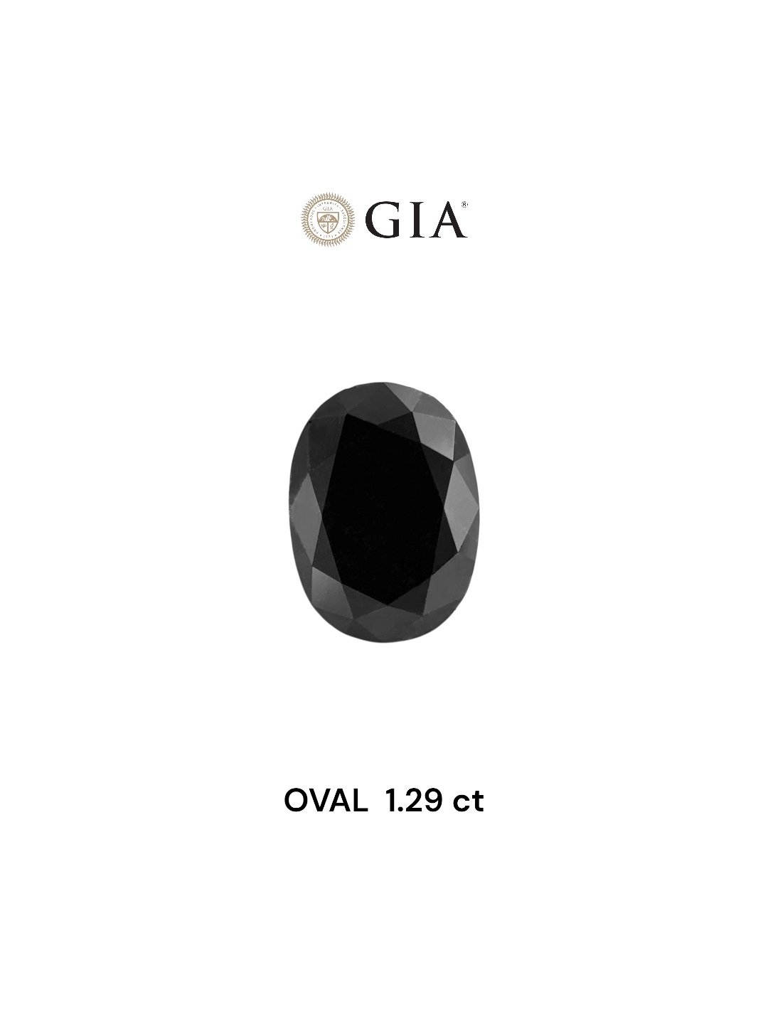 GIA 1.29 Carat Natural Fancy Black Oval Diamond SE-8224GN