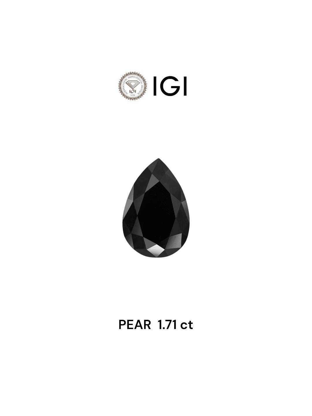 IGI 1.71 Carat Natural Fancy Black Pear Diamond SE-8231IN
