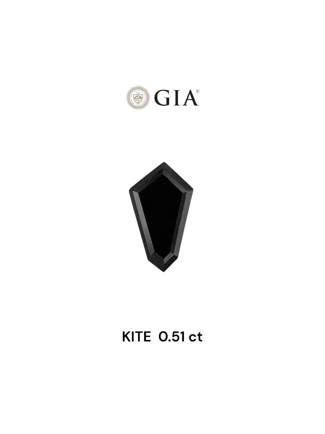 GIA 0.51 Carat Natural Fancy Black Kite Diamond SE-8252GN
