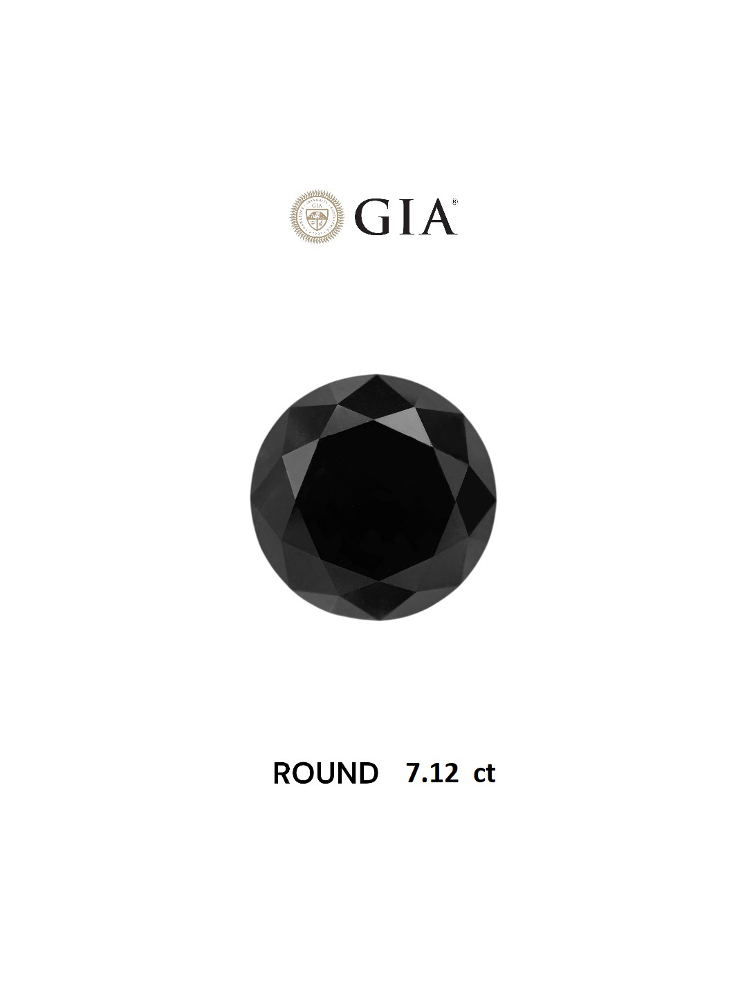 GIA 7.12 Carat Natural Fancy Black Round Diamond SE-8288GN