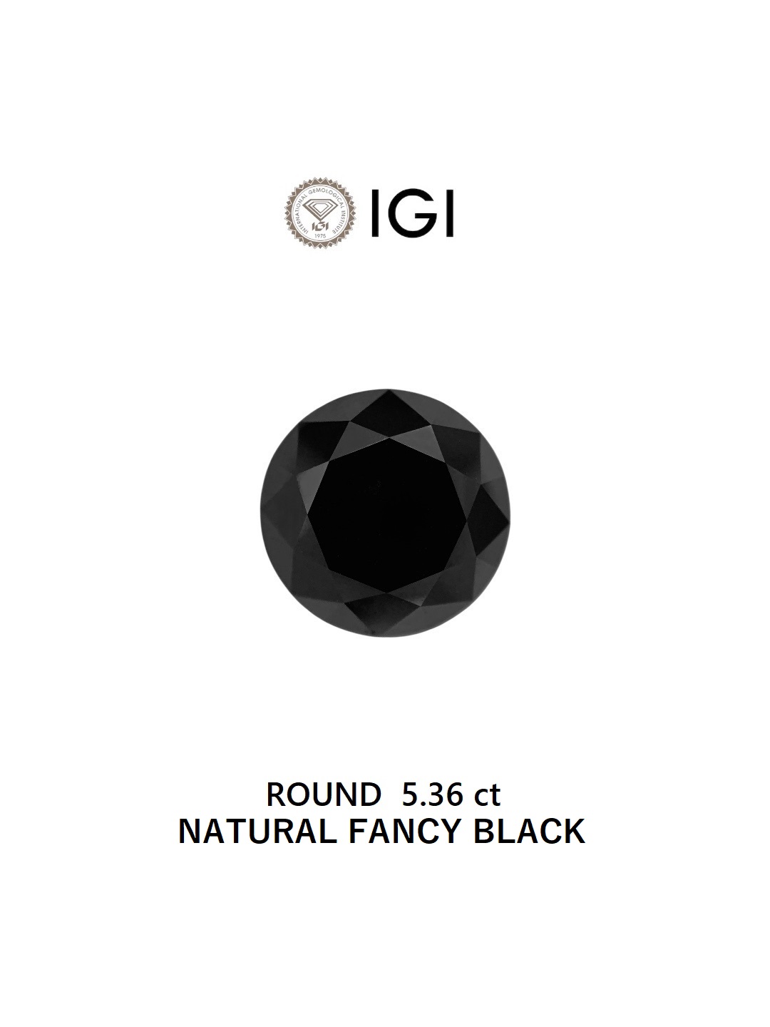 IGI 5.36 Carat Natural Fancy Black Round Diamond SE-8289IN