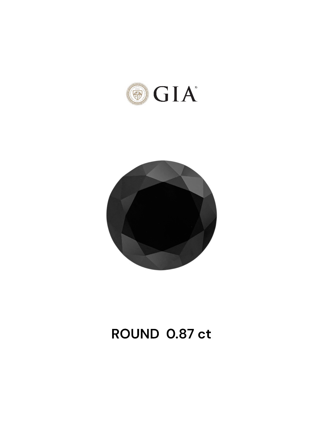 GIA 0.87 Carat Natural Fancy Black Round Diamond SE-8330GN