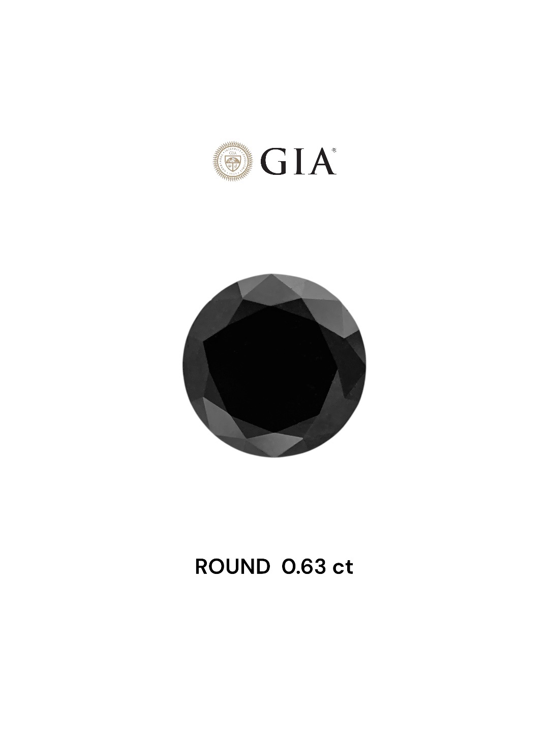 GIA 0.63 Carat Natural Fancy Black Round Diamond SE-8334GN