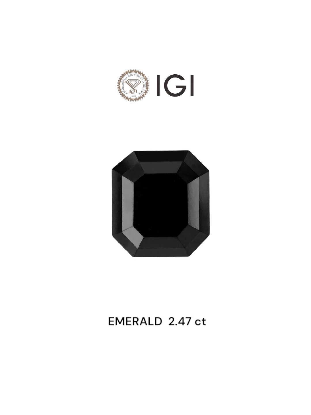 IGI 2.47 Carat Natural Fancy Black Emerald Diamond SE-8409TTI
