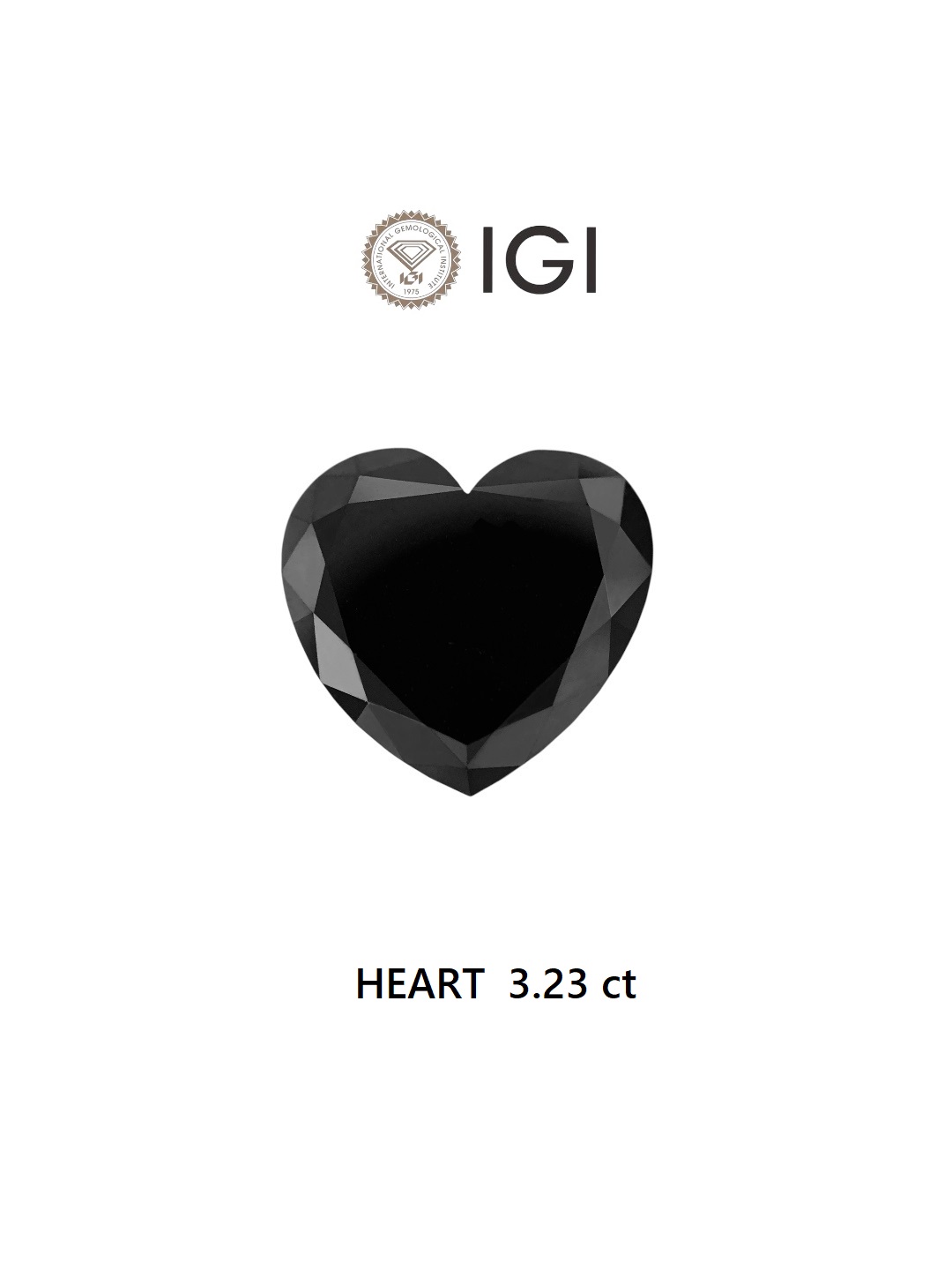 IGI 3.23 Carat Natural Fancy Black Heart Diamond SE-8426TTI