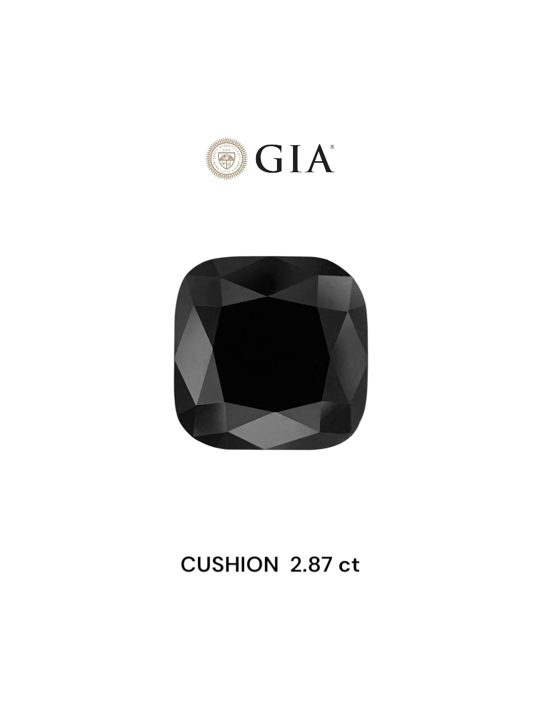 IGI 2.87 Carat Natural Fancy Black Cushion Diamond SE-8623IN