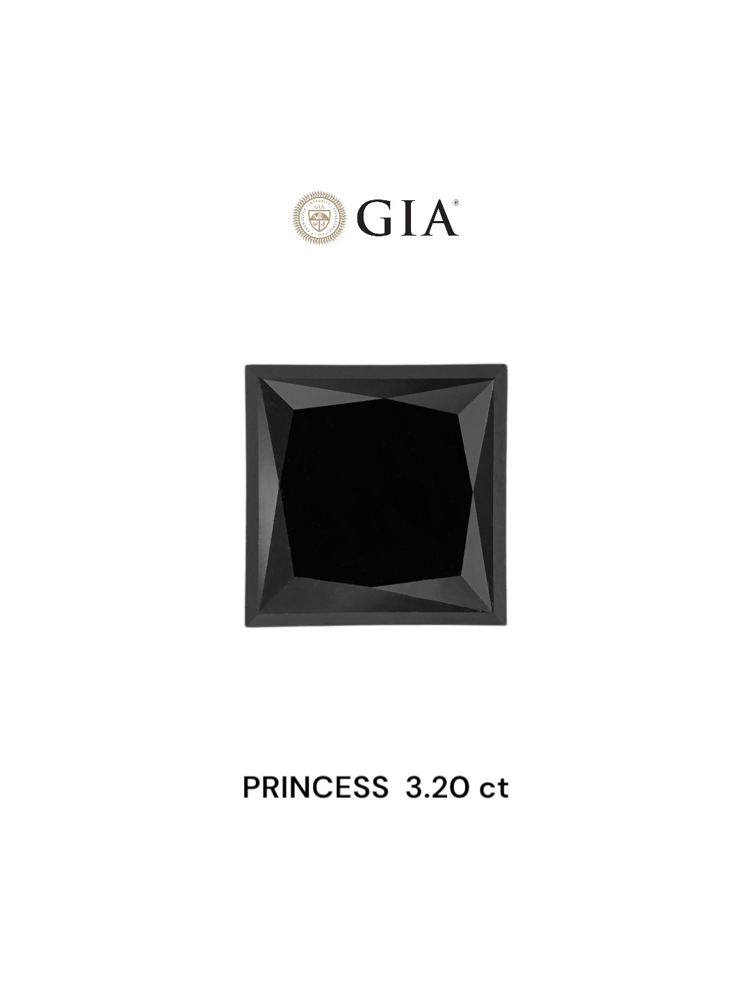 IGI 3.19 Carat Natural Fancy Black Princess Diamond SE-8631IN