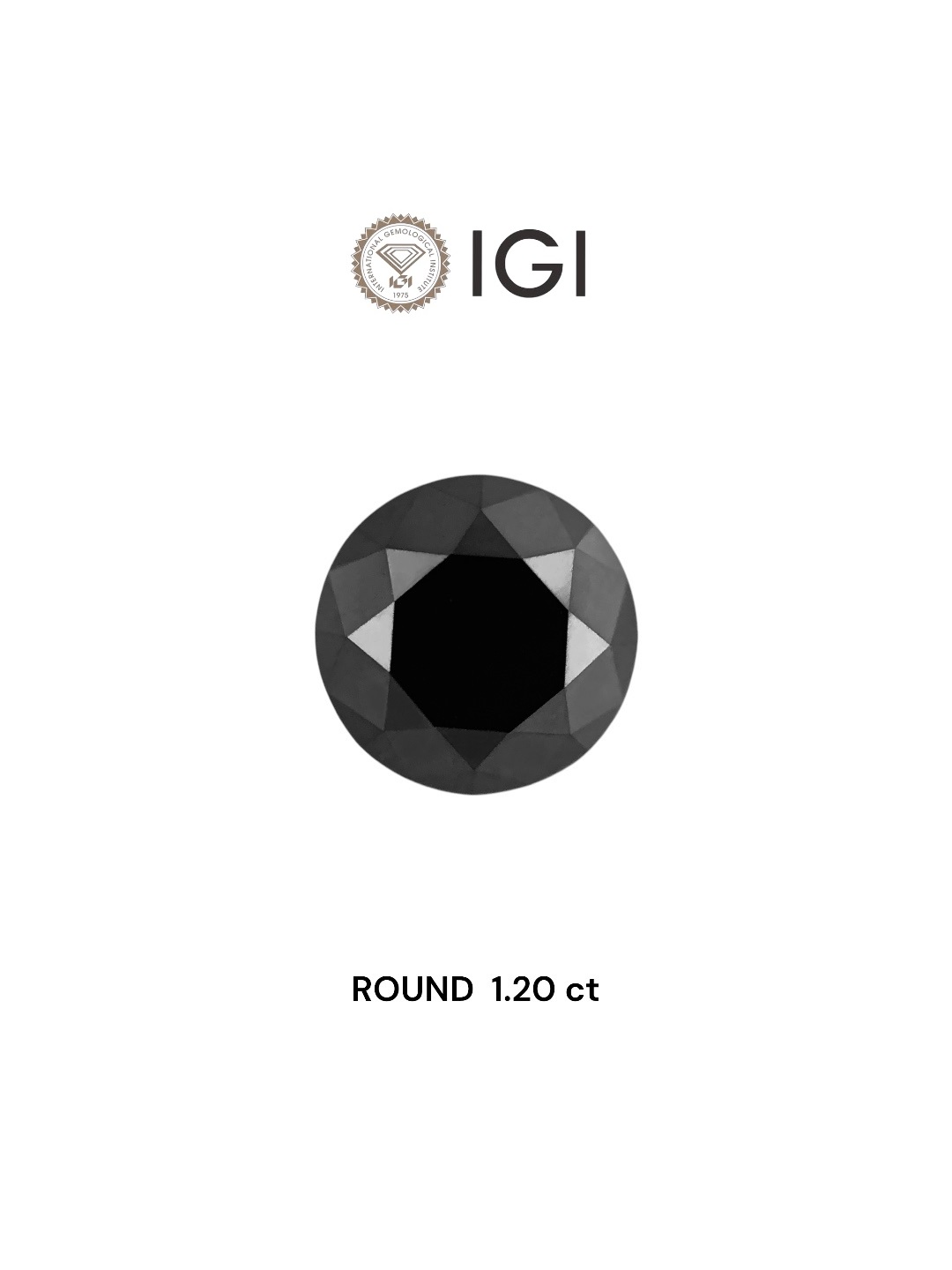 IGI 1.20 Carat Natural Fancy Black Round Diamond SE-8697TTI