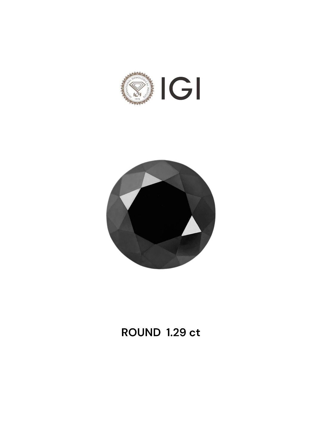 IGI 1.29 Carat Natural Fancy Black Round Diamond SE-8718TTI