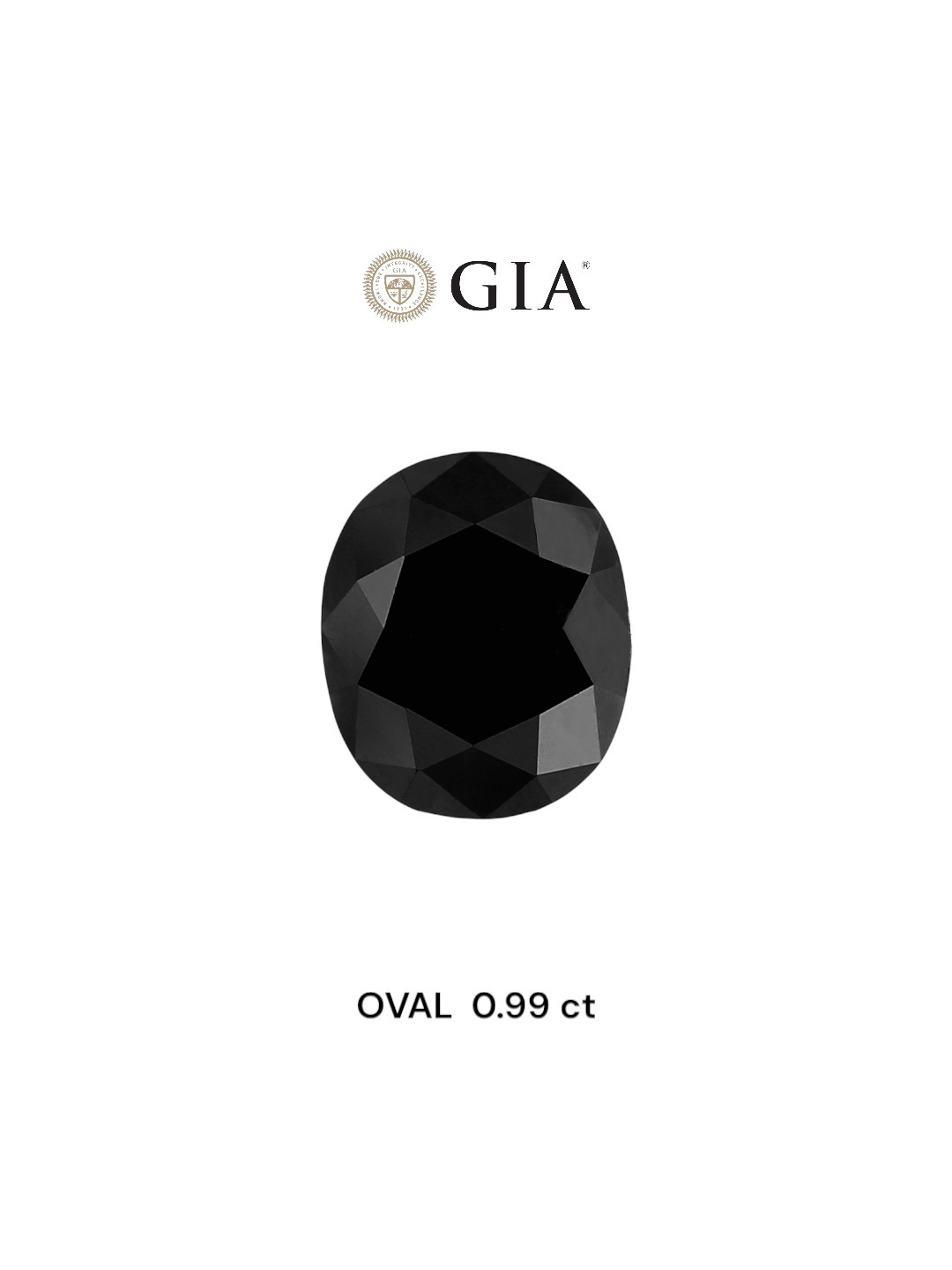 IGI 0.99 Carat Natural Fancy Black Oval Diamond SE-8735IN