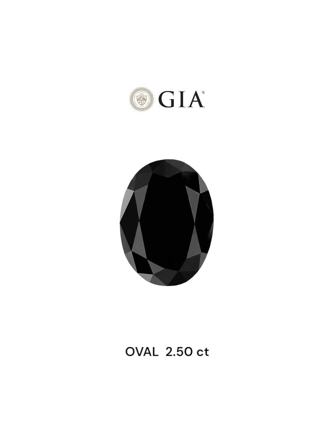 IGI 2.50 Carat Natural Fancy Black Oval Diamond SE-8738IN