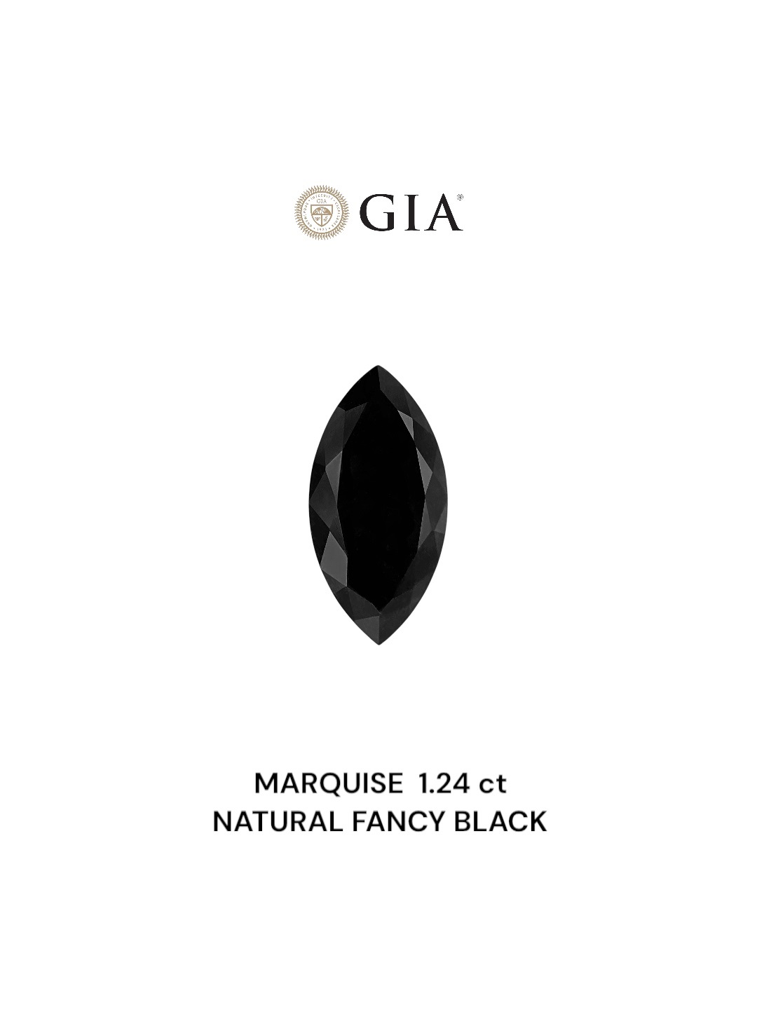 GIA 1.24 Carat Natural Fancy Black Marquise Diamond SE-8781GN