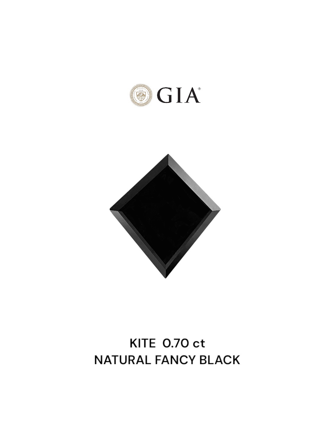 GIA 0.70 Carat Natural Fancy Black Kite Diamond SE-8784GN