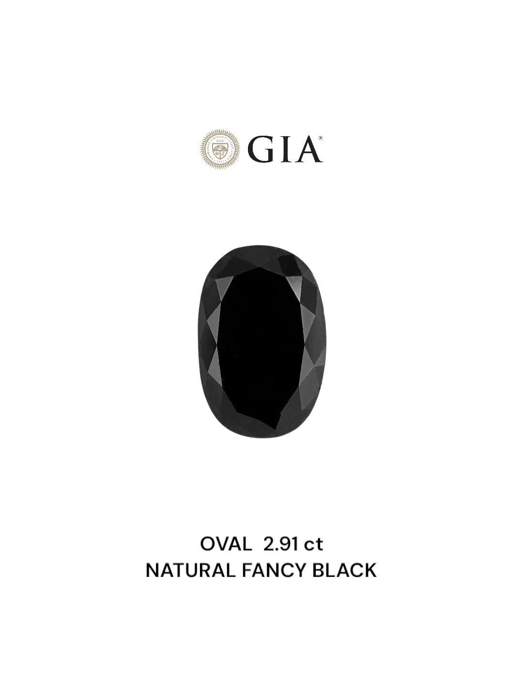 GIA 2.91 Carat Natural Fancy Black Oval Diamond SE-8800GN