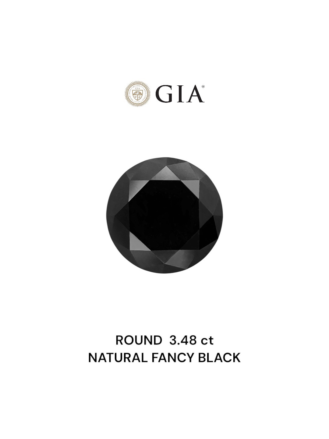 GIA 3.48 Carat Natural Fancy Black Round Diamond SE-8804GN
