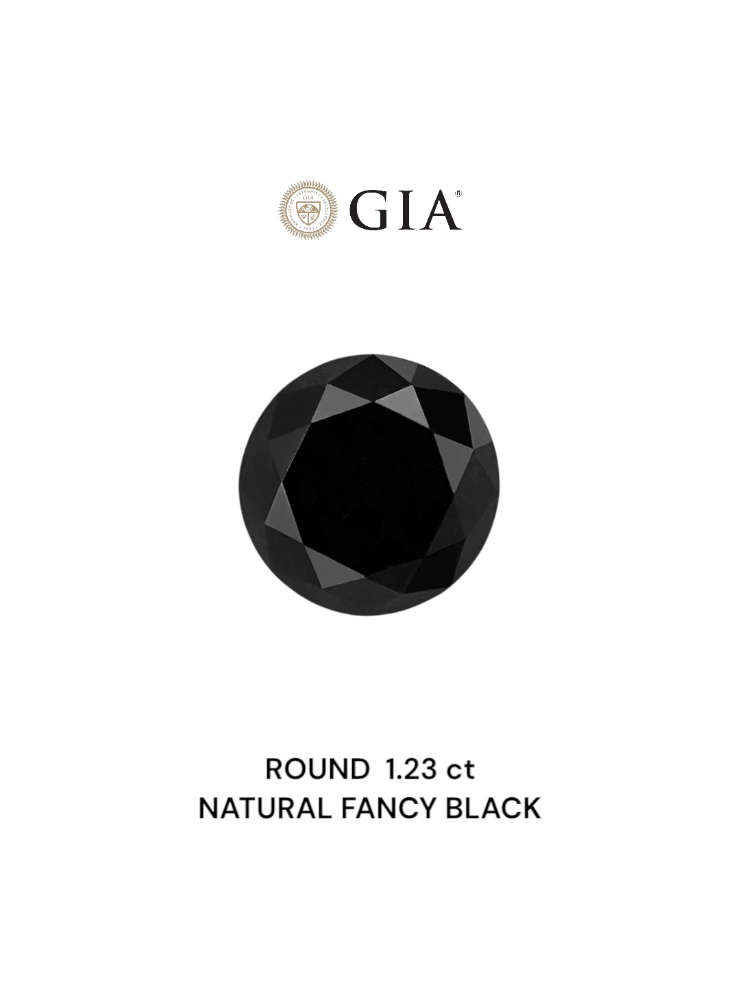 GIA 1.23 Carat Natural Fancy Black Round Diamond SE-8806GN