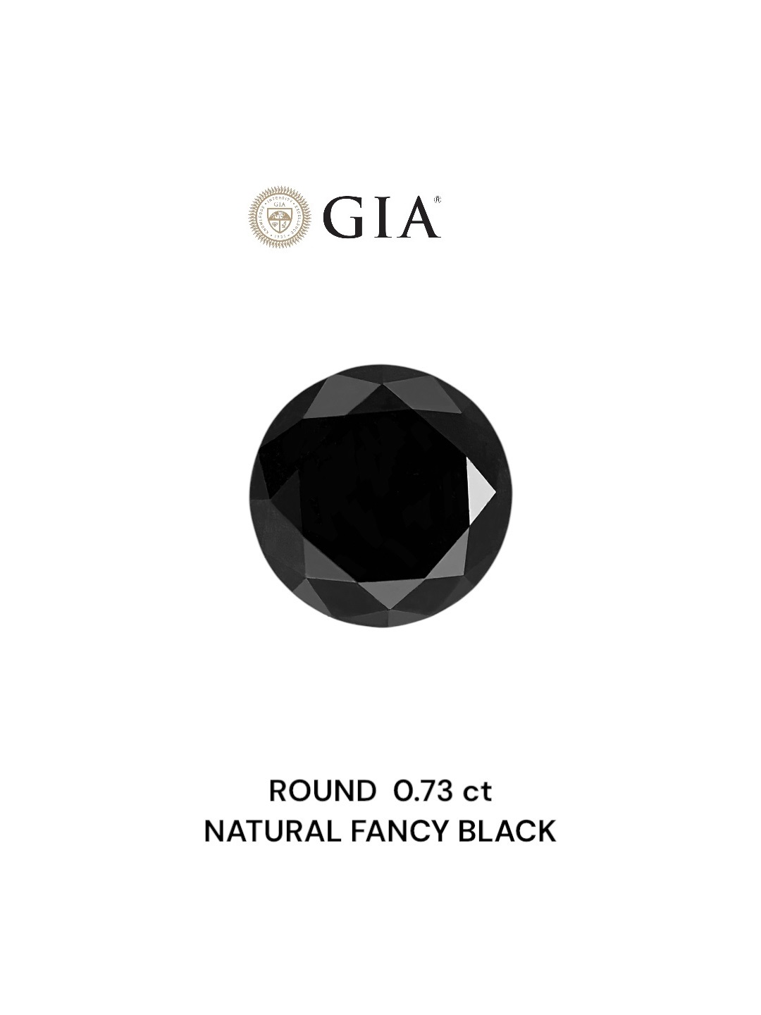 GIA 0.73 Carat Natural Fancy Black Round Diamond SE-8807GN