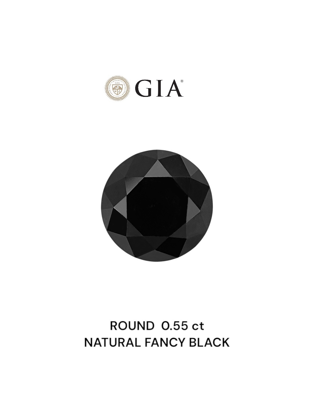GIA 0.55 Carat Natural Fancy Black Round Diamond SE-8808GN