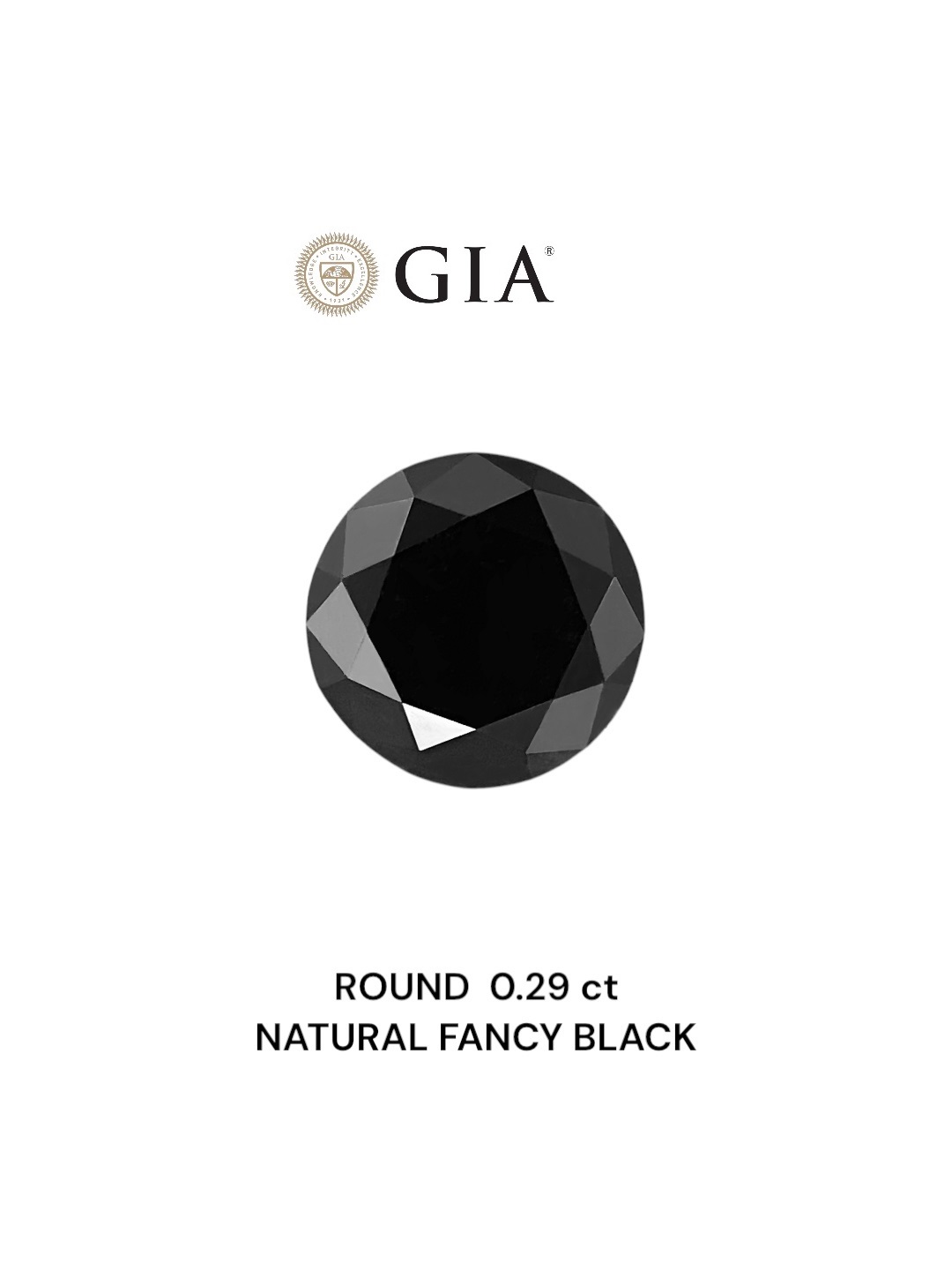 GIA 0.29 Carat Natural Fancy Black Round Diamond SE-8809GN