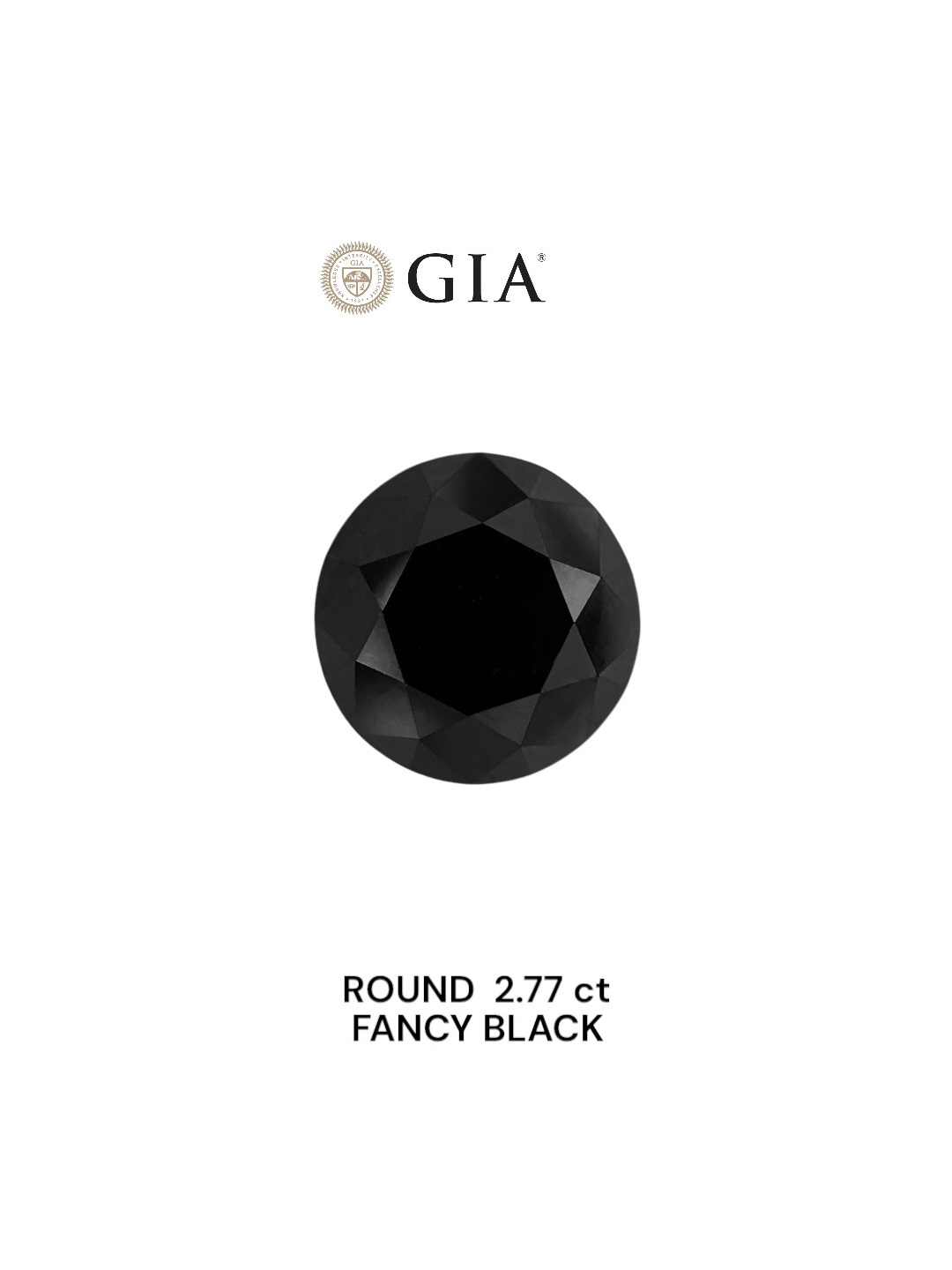 GIA 2.77 Carat Natural Fancy Black Round Diamond SE-8815GT