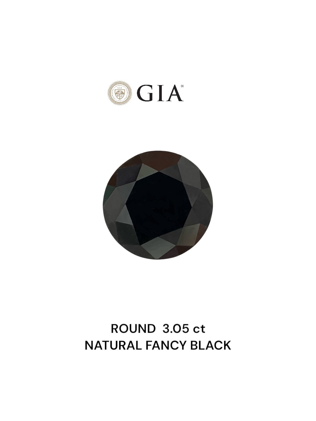 GIA 3.05 Carat Natural Fancy Black Round Diamond SE-8817GN