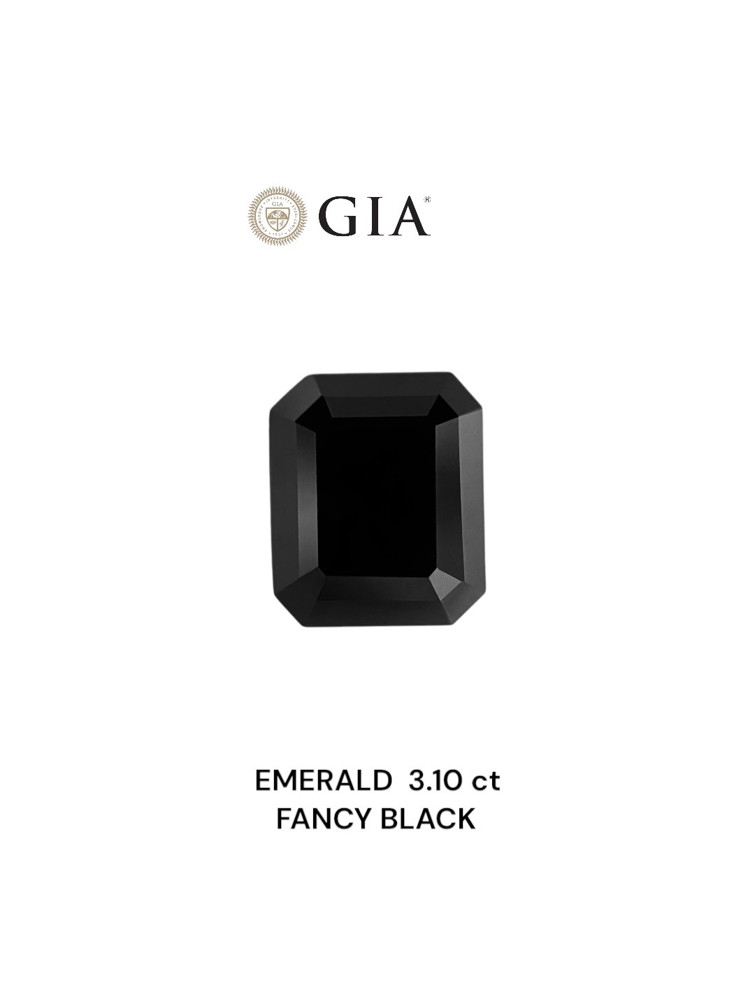 IGI 3.10 Carat Natural Fancy Black Emerald Diamond SE-8844IN