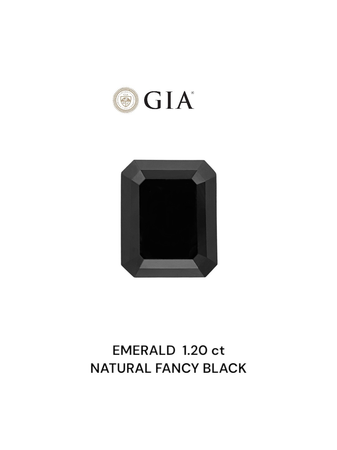 GIA 1.20 Carat Natural Fancy Black Emerald Diamond SE-8846GN