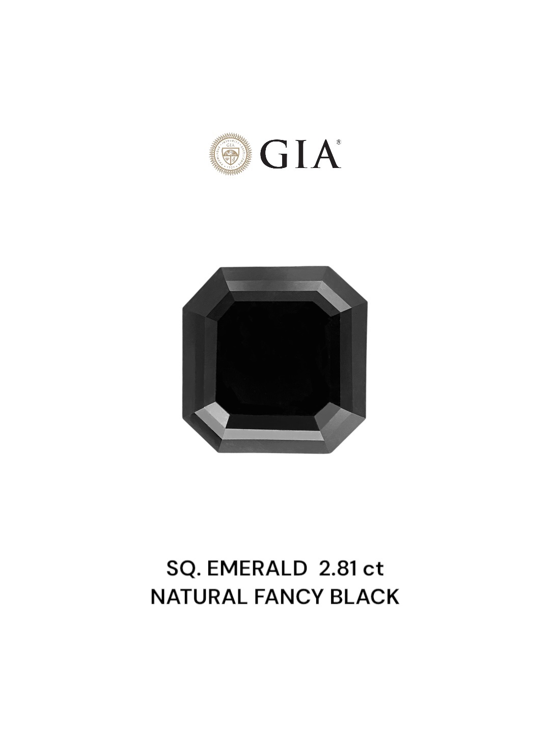 GIA 2.81 Carat Natural Fancy Black Sq emerald Diamond SE-8848GN