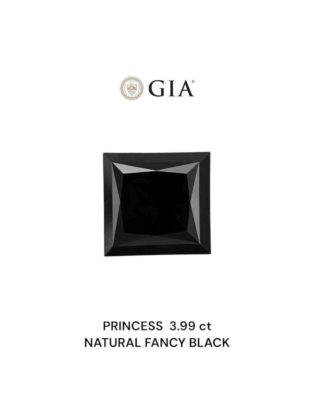 GIA 3.99 Carat Natural Fancy Black Princess Diamond SE-8852GN