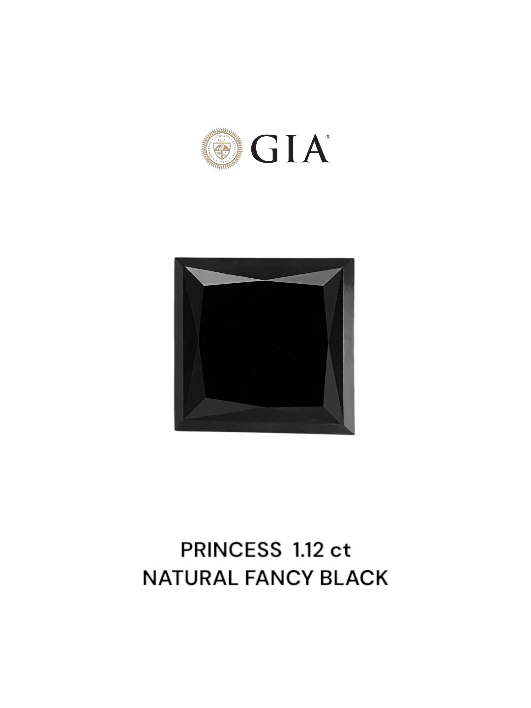 GIA 1.12 Carat Natural Fancy Black Princess Diamond SE-8853GN