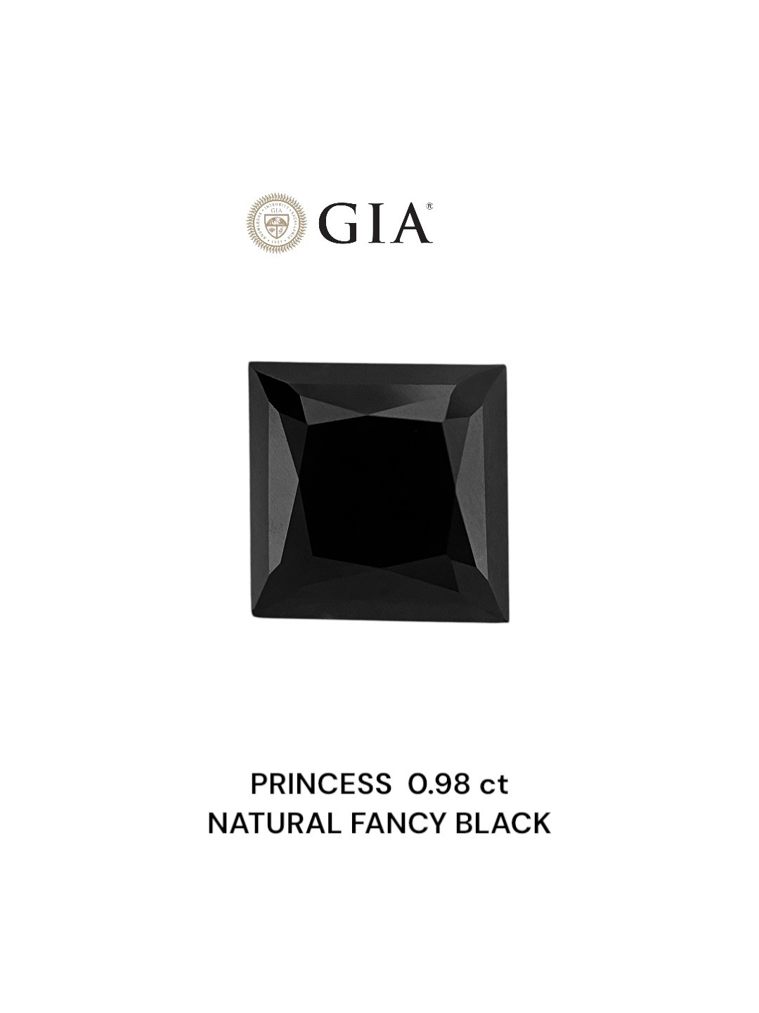 GIA 0.98 Carat Natural Fancy Black Princess Diamond SE-8854GN