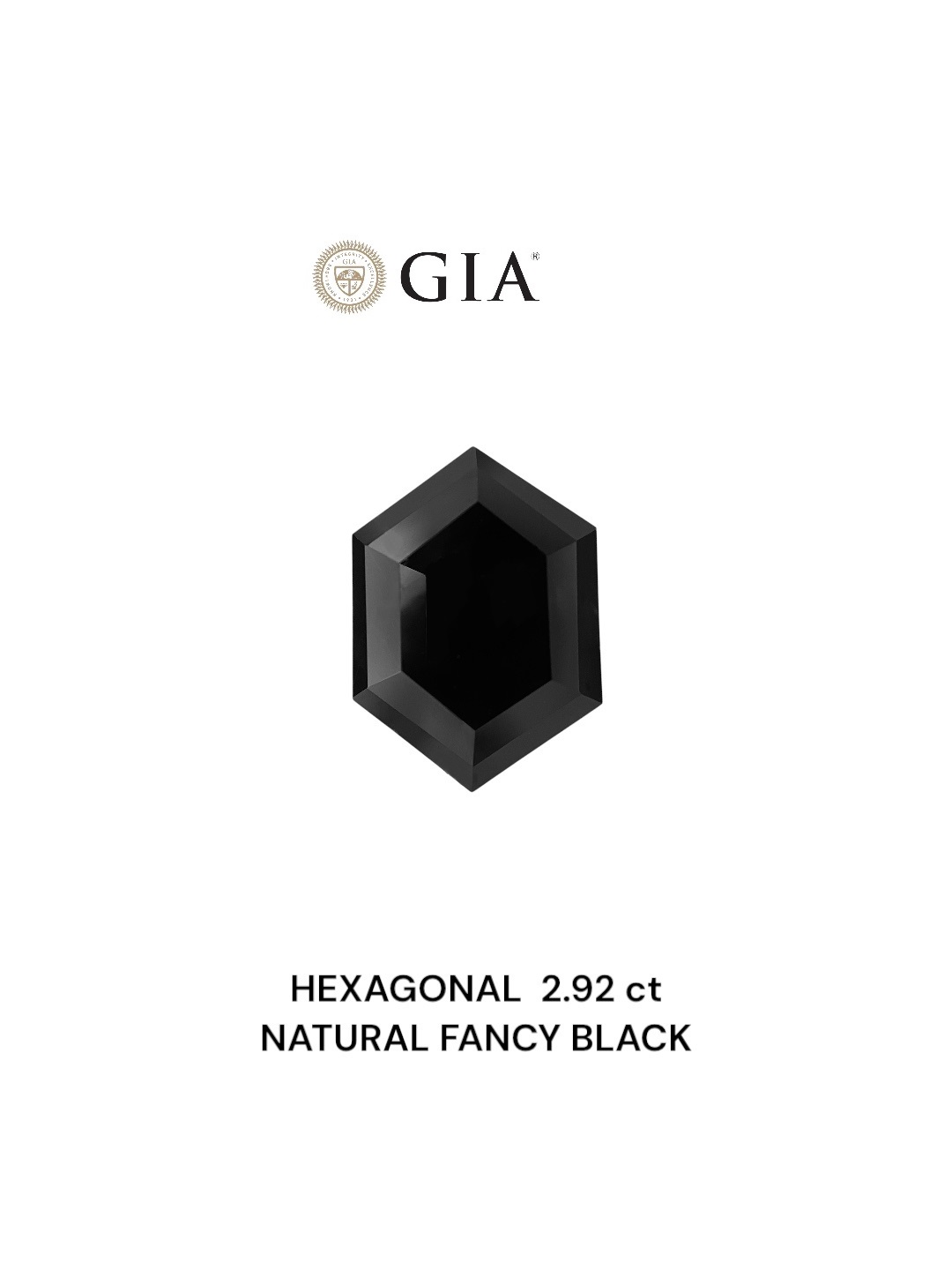 GIA 2.92 Carat Natural Fancy Black Hexagonal Diamond SE-8855GN