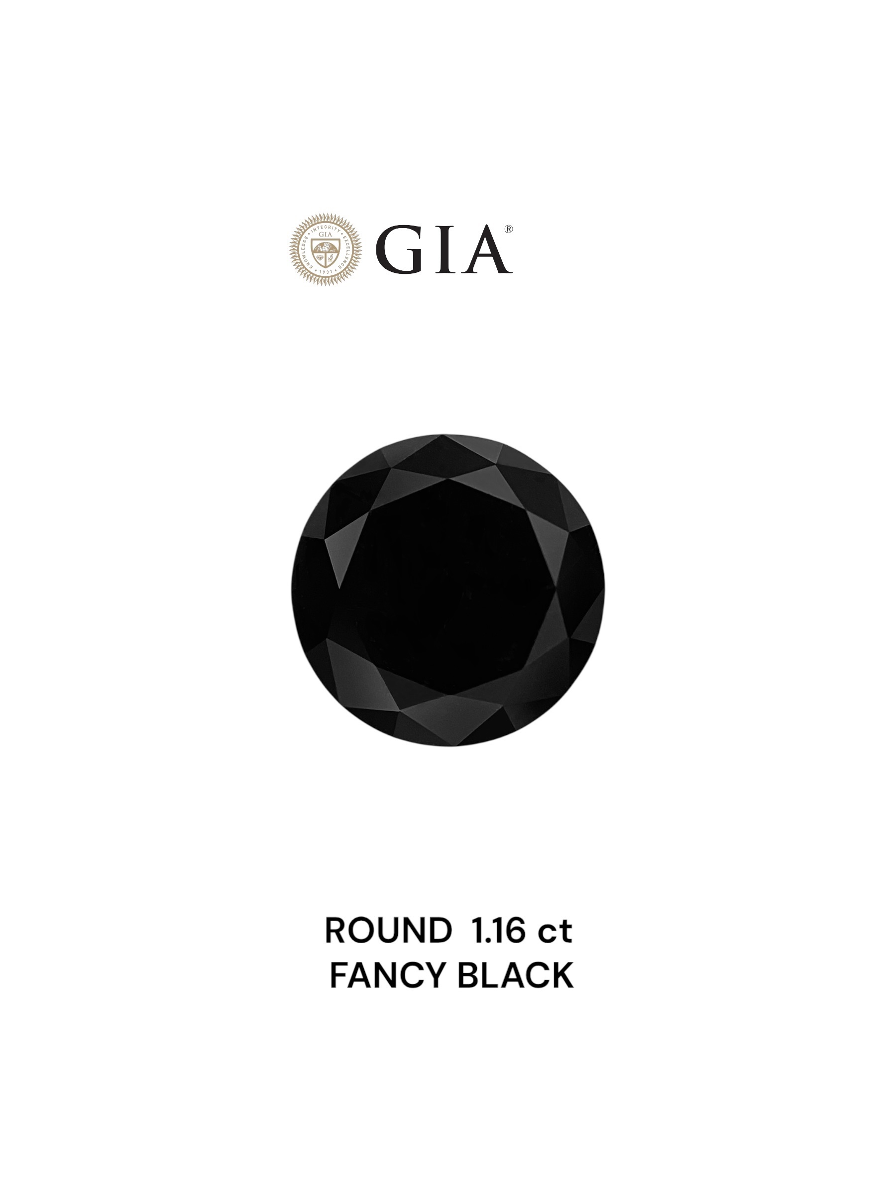 IGI 1.16 Carat Natural Fancy Black Round Diamond SE-8870IN