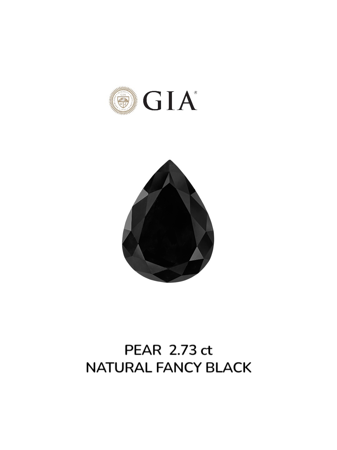 GIA 2.73 Carat Natural Fancy Black Pear Diamond SE-8878GN
