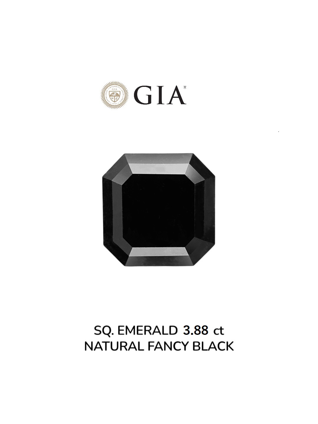 GIA 3.88 Carat Natural Fancy Black Sq emerald Diamond SE-8885GN